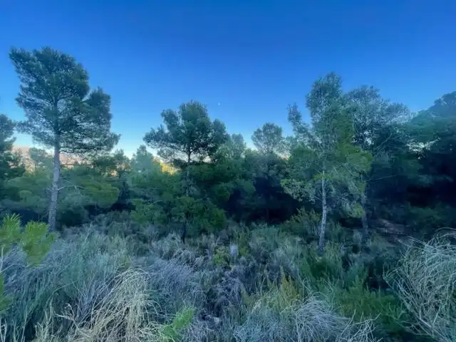 Grundstücke und Bauplätze zum Verkauf in La Alberca, imagen 2