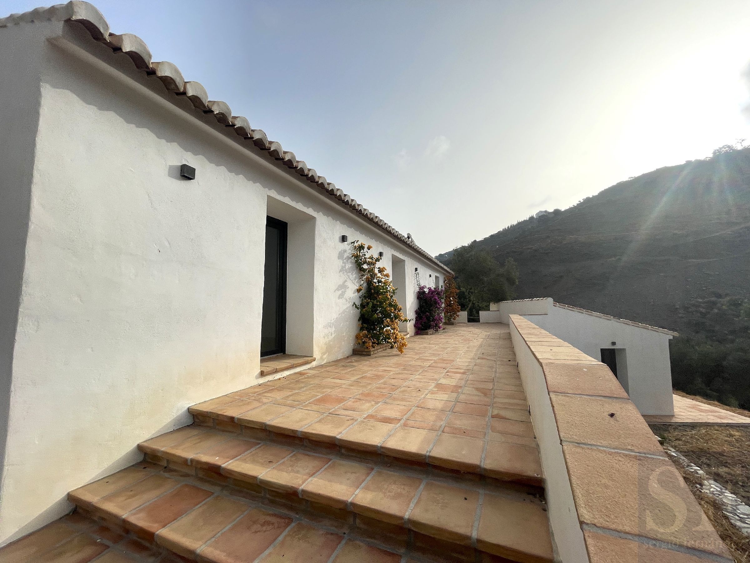 Terrace of House or chalet for sale in Sayalonga
