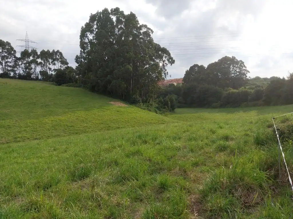 Terreno rustico in vendita a Camino de Caliero, imagen 22