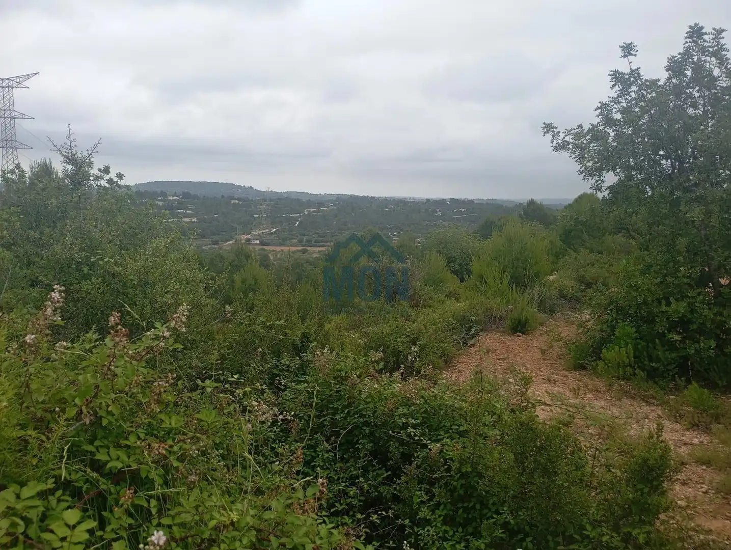 Terreno rustico in vendita a Buñol, imagen 7