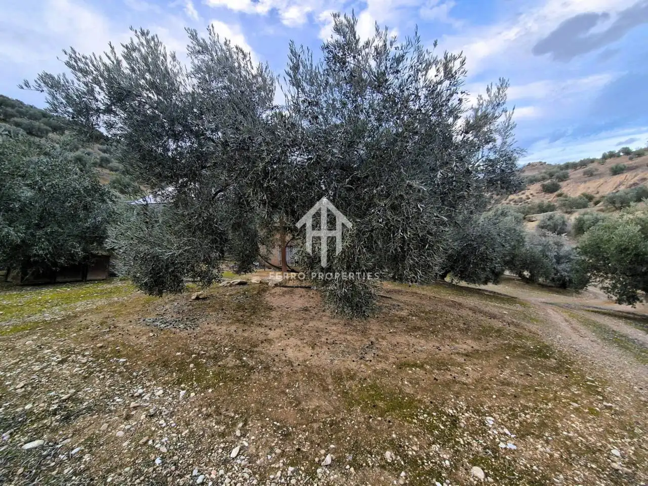 Terreni e lotti in vendita a Huétor Tájar, imagen 23
