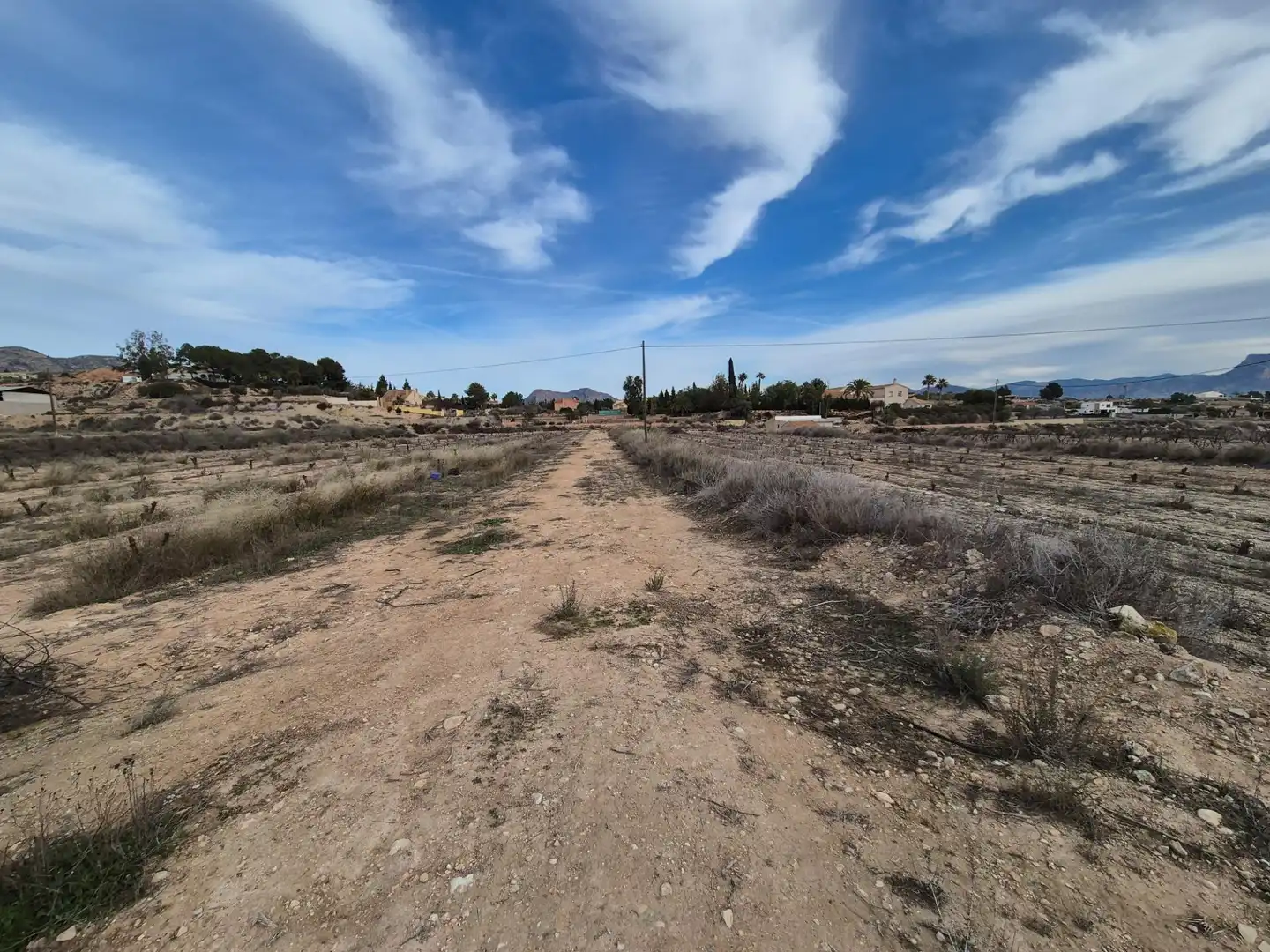 Terreny rústic en venda a Monóvar  / Monòver, imagen 23