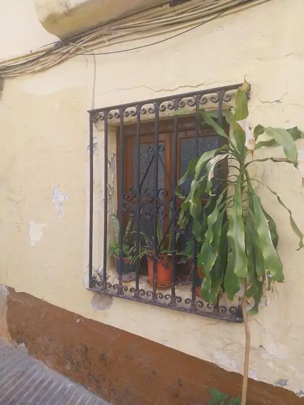 Terraza de Finca rústica en venta en Marbella con Terraza