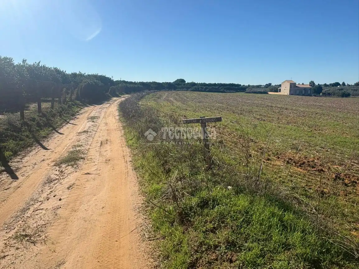 Terreni e lotti in vendita a Camino sanlucar la mayor olivares, imagen 14