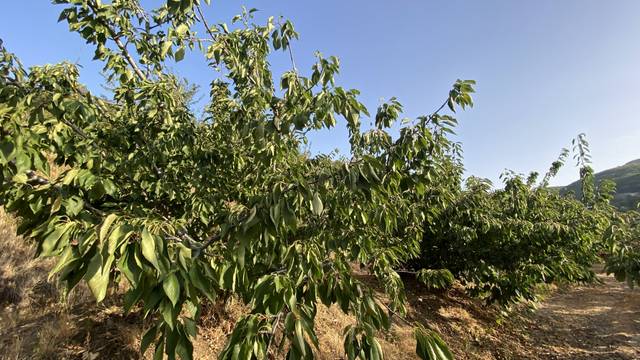 Terreno en Venta en Barrado