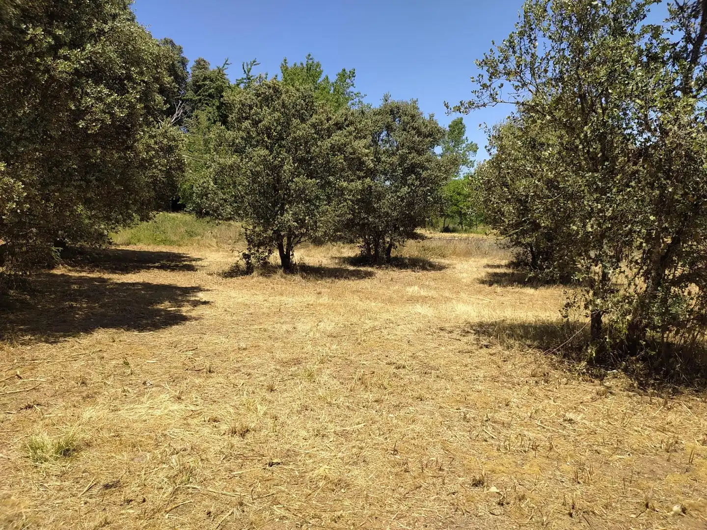 Terreni e lotti in vendita a Cubillos del Sil, imagen 4