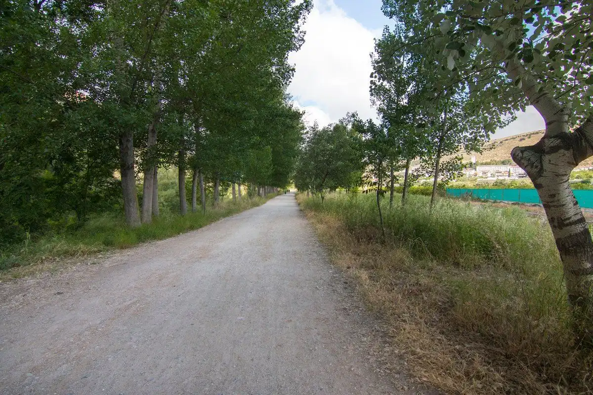 Casa rústica en venta en Genil, imagen 23