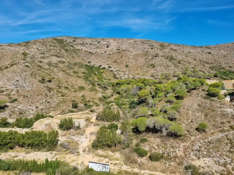Apartments for sale in Racó