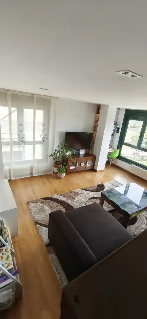 Living room of Flat for sale in Boqueixón  with Parquet flooring, Storage room and Furnished