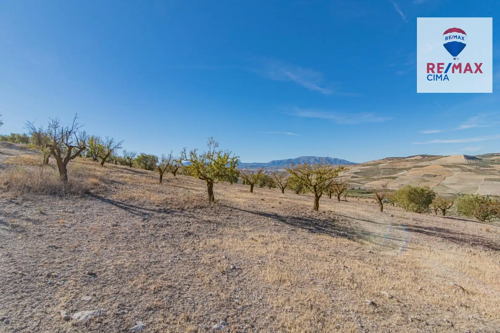 Terreno en venta en Santa Cruz del Comercio