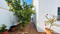 Jardí de Casa o xalet en venda en Chiclana de la Frontera amb Terrassa i Piscina