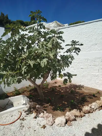 Detached house with pool for sale in Campo de Mijas, imagen 69