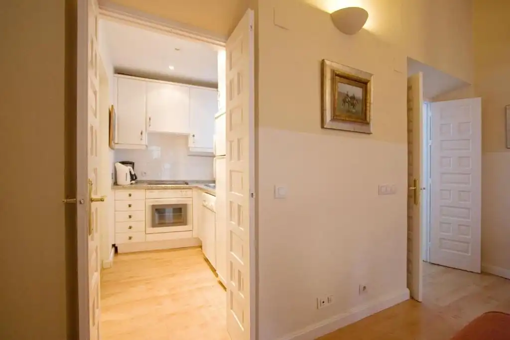 Wohnung mit Pool zur Miete in Casco Antiguo, imagen 16