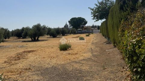 Terrenos en venta en Úbeda, immagine 5