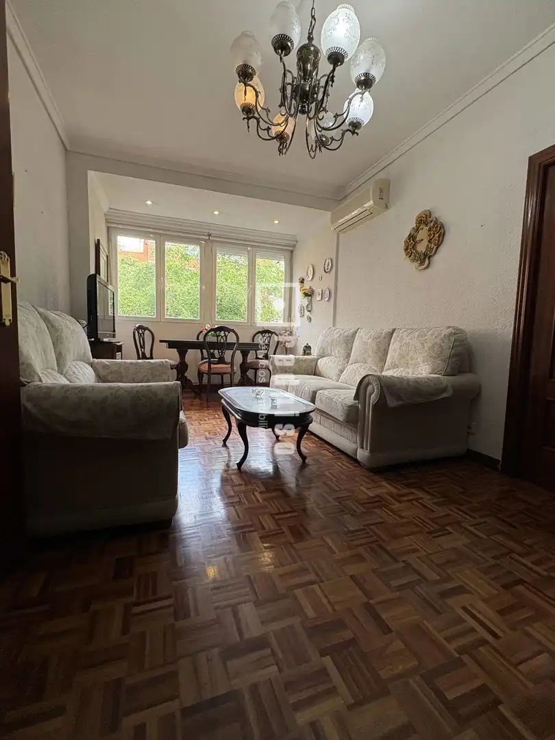 Sala d'estar de Pis en venda en Madrid amb Aire condicionat, Calefacció i Parquet