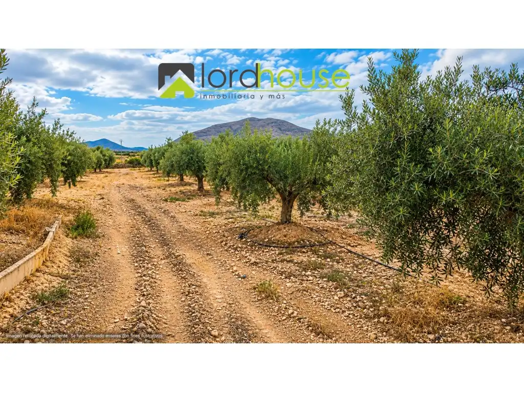 Casa o xalet en venda en Lorca