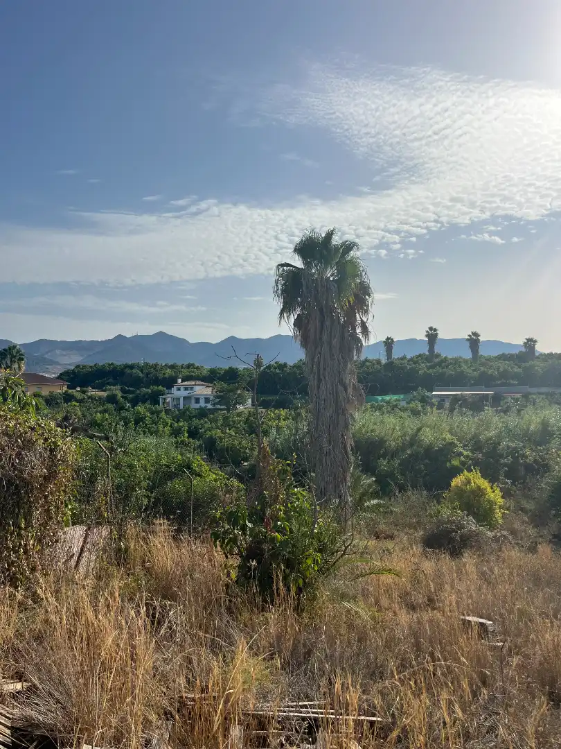 Residential land for sale in Calle Estornino 45, imagen 5