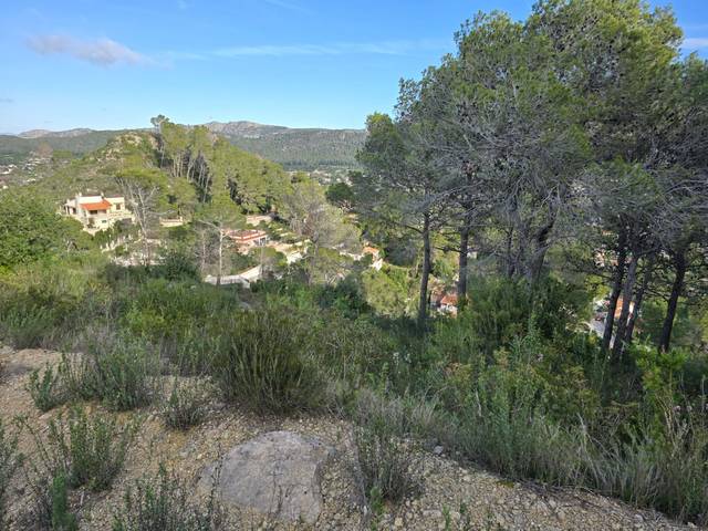 Terreno residencial en Venta en Carcaixent