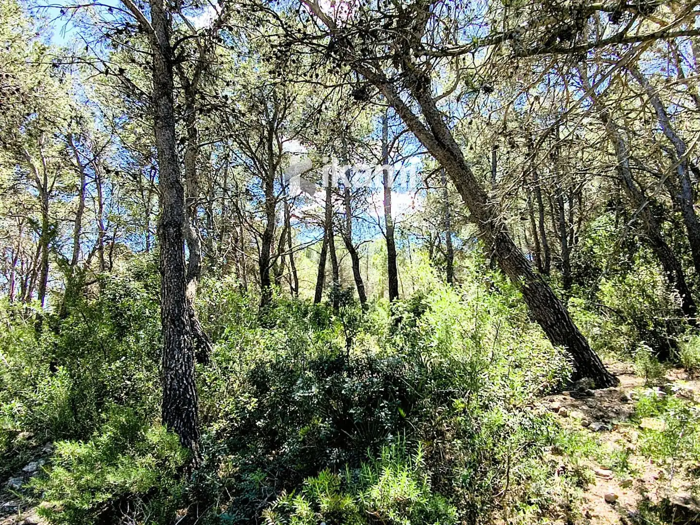 Residential for sale in L'Ametlla de Mar 