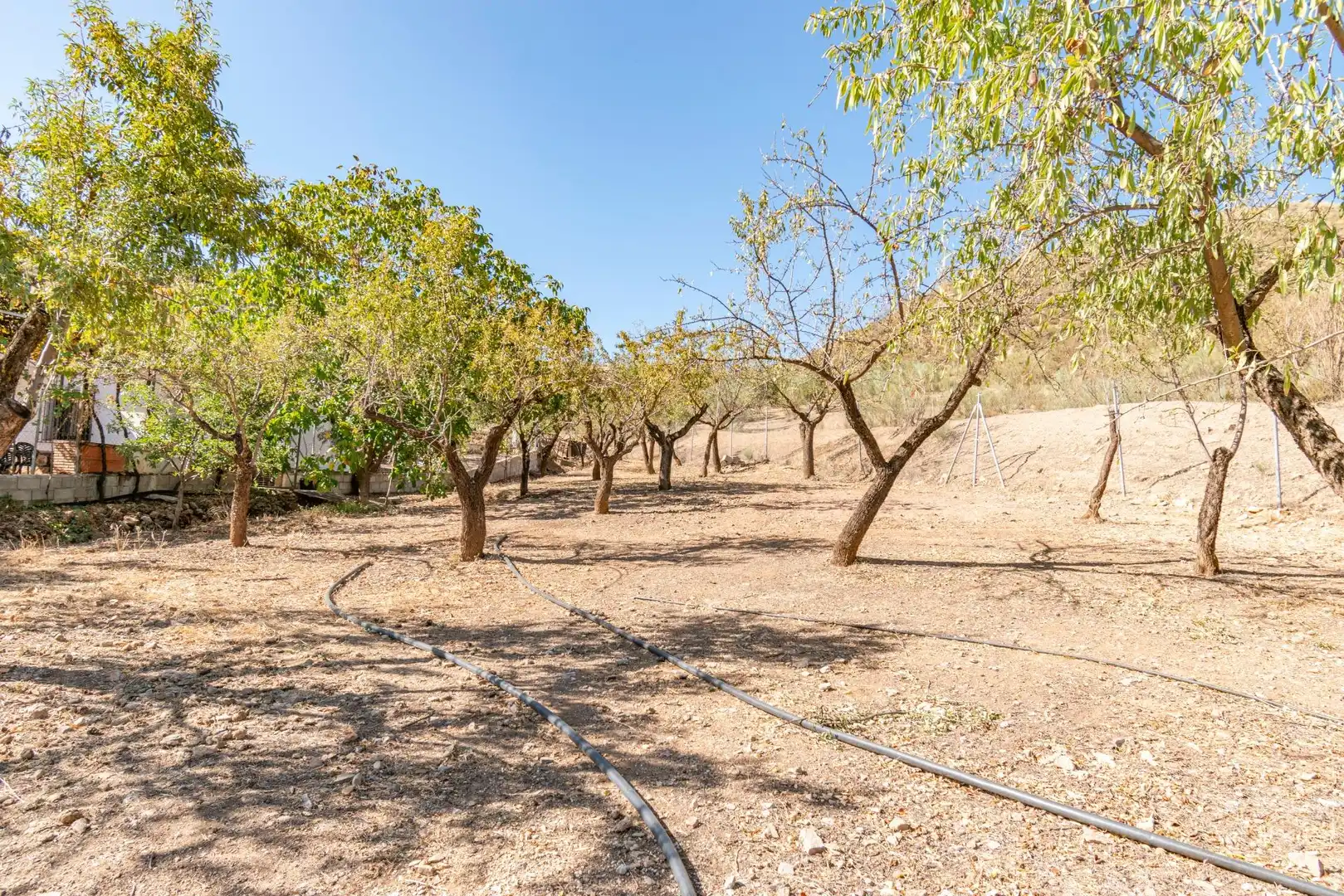 Finca rústica en venta en Vereda morollon, La Peza