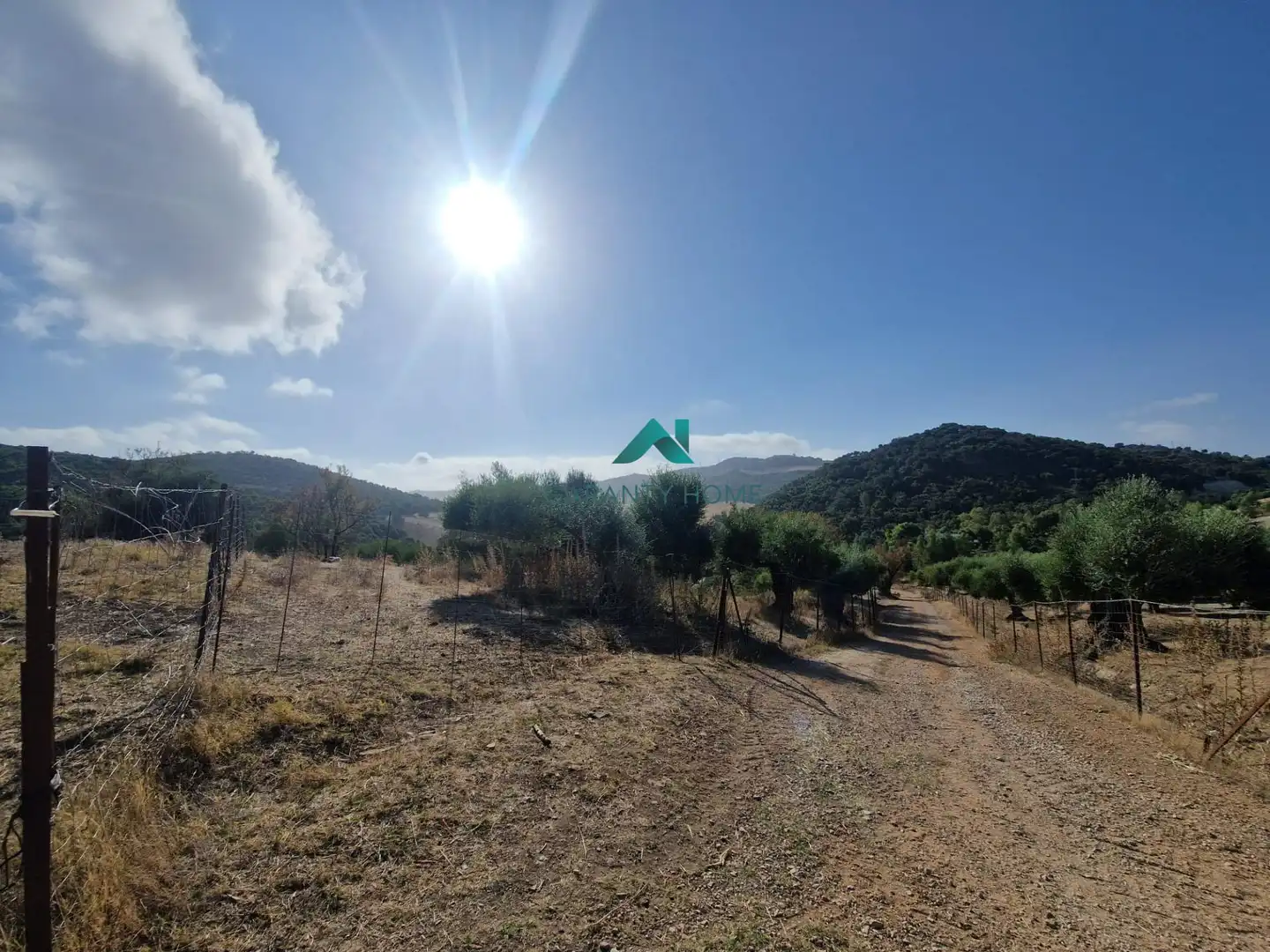 Rural land for sale in San José del Valle, imagen 8