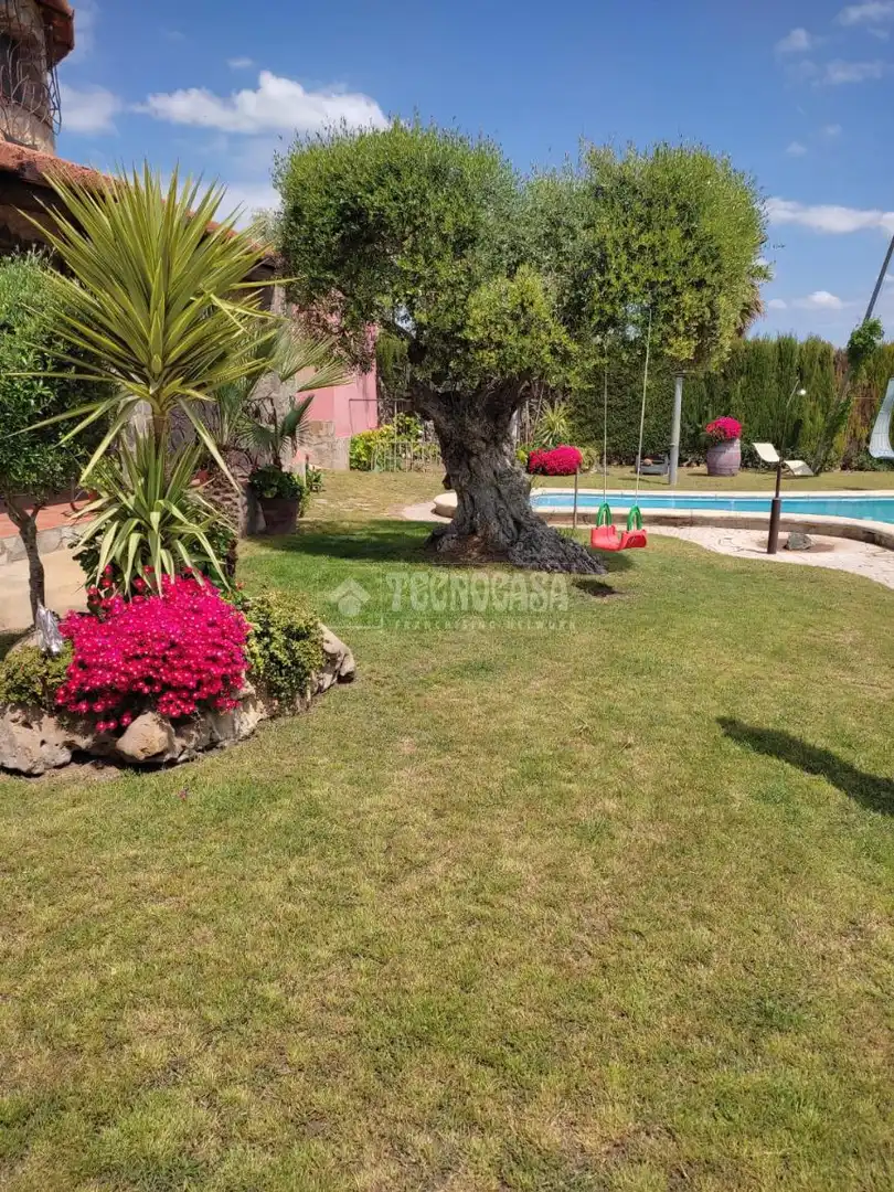 Garden of Country homes for sale in Marchena  with Air Conditioner and Swimming Pool