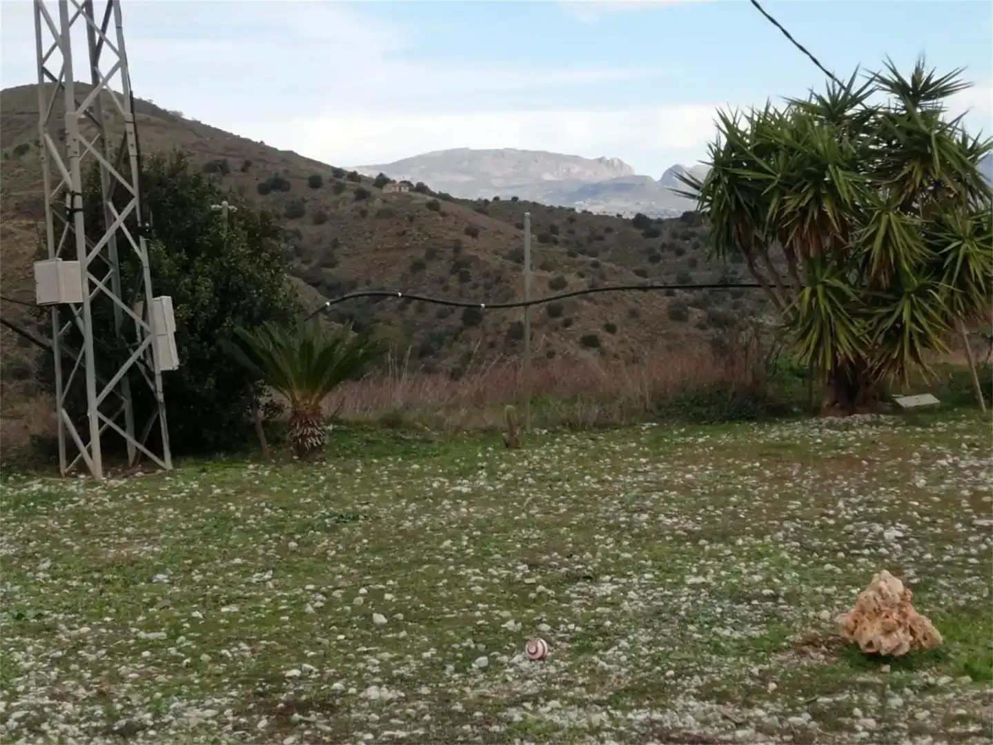 Planta baixa en venda en Iznate