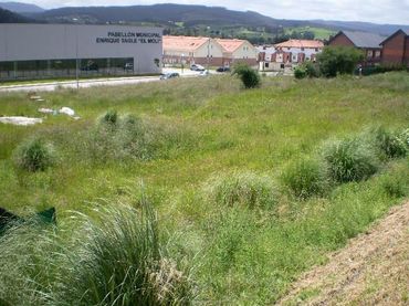 Terreno residenziale in vendita a JURRIO (EL) 2006