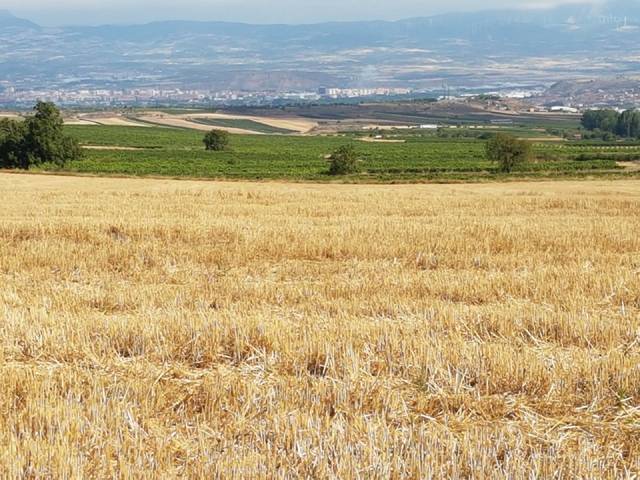 Terreno en Venta en Clavijo