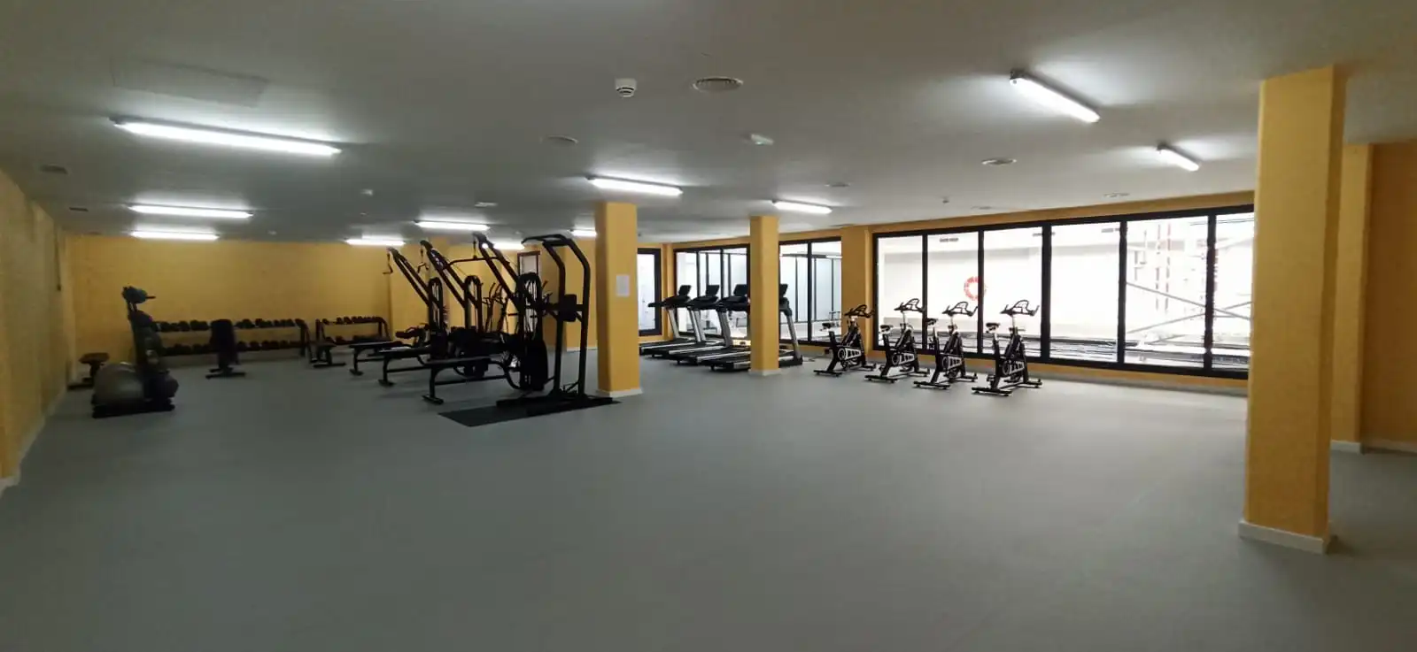 Estudio de alquiler en Calle de Fuerteventura, Polígono Industrial Norte