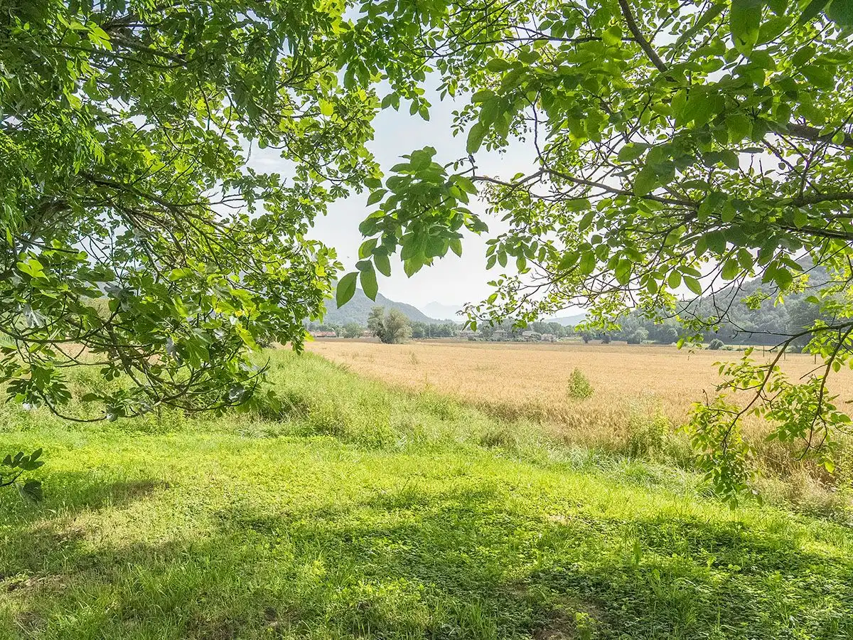 Landhaus mit Garten zum Verkauf in Olot, imagen 29