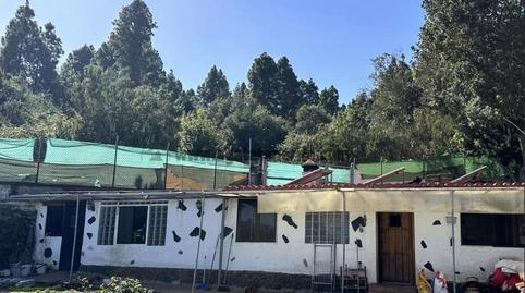 Photo 4 of Country house for sale in La Vega - El Amparo - Cueva del Viento, Santa Cruz de Tenerife