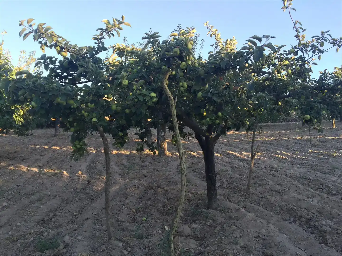 Residencial en venda en Aldeadávila de la Ribera