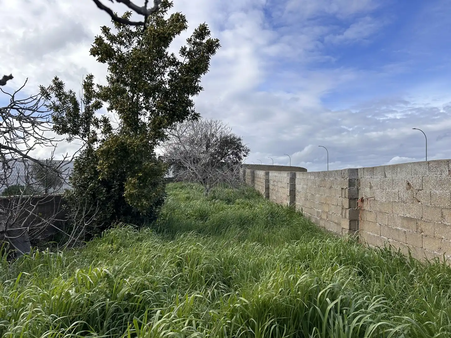 Industrial buildings for sale in Ahillones