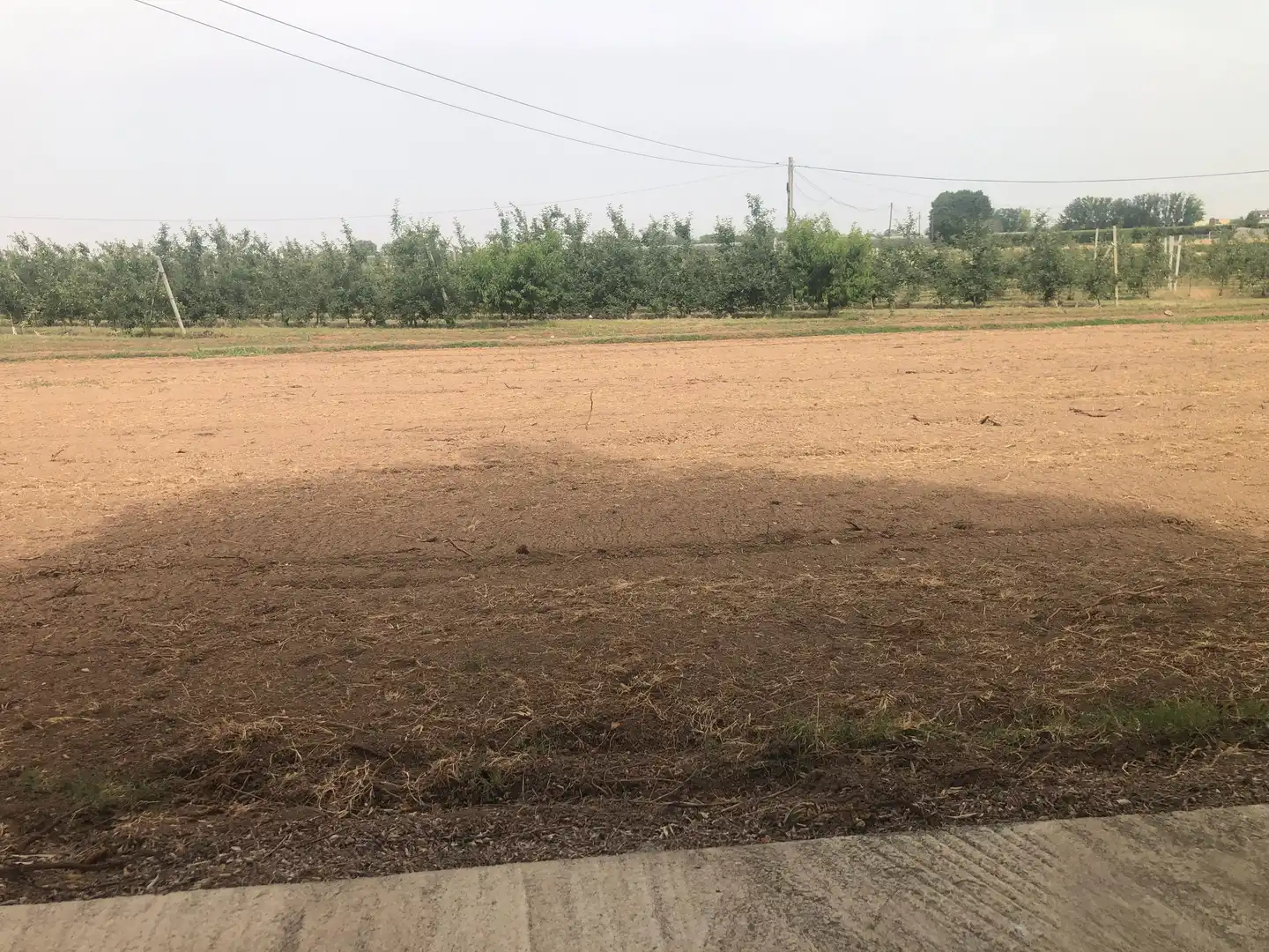 Terreny residencial en venda a Bellpuig, imagen 4