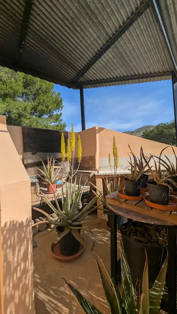 Casa con jardín en venta en Hondón de las Nieves / El Fondó de les Neus, imagen 70