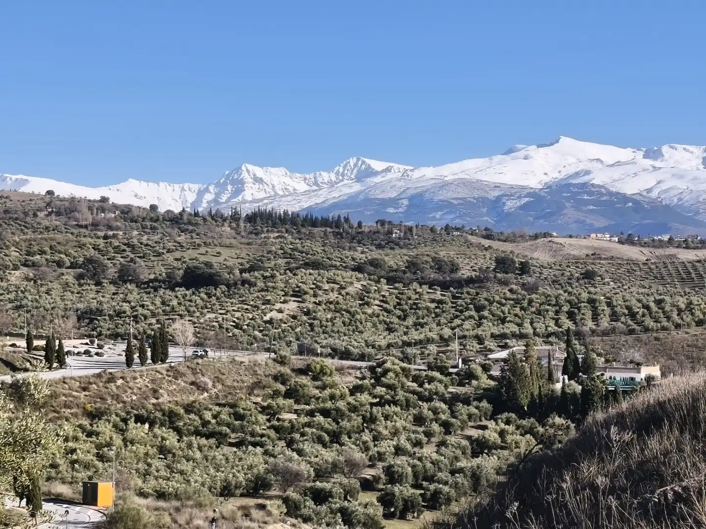Lands and plots for sale in Alfacar, imagen 22