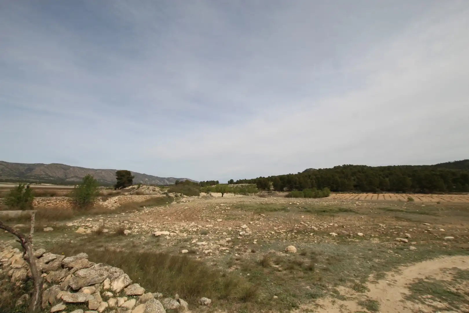 Maison rustique à vendre à Monóvar  / Monòver, imagen 6