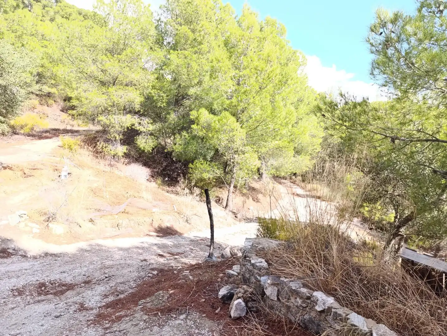 Casa rústica en venda a Carretera Alozaina, imagen 4