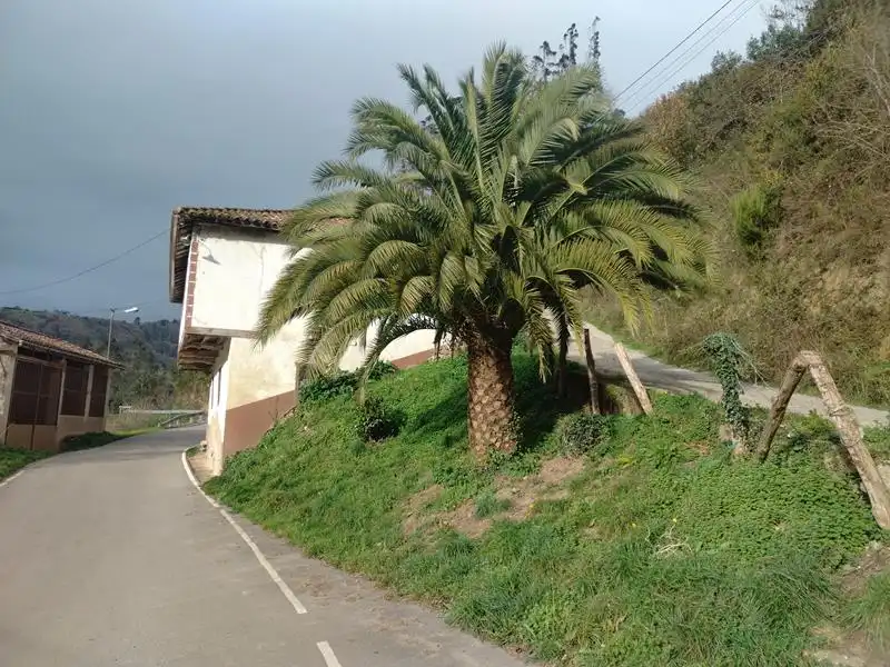Vista exterior de Finca rústica en venta en Salas con Amueblado