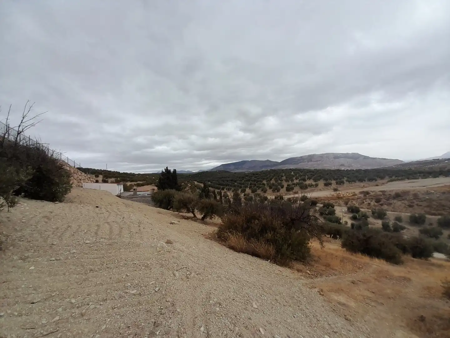 Terreni e lotti in vendita a Puente Tablas - Puente Nuevo - Cerro Molina, imagen 4
