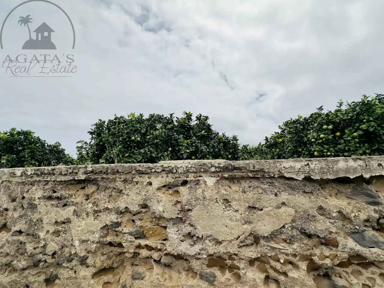 Finca rústica en venta en La Orotava con Jardín privado y Terraza