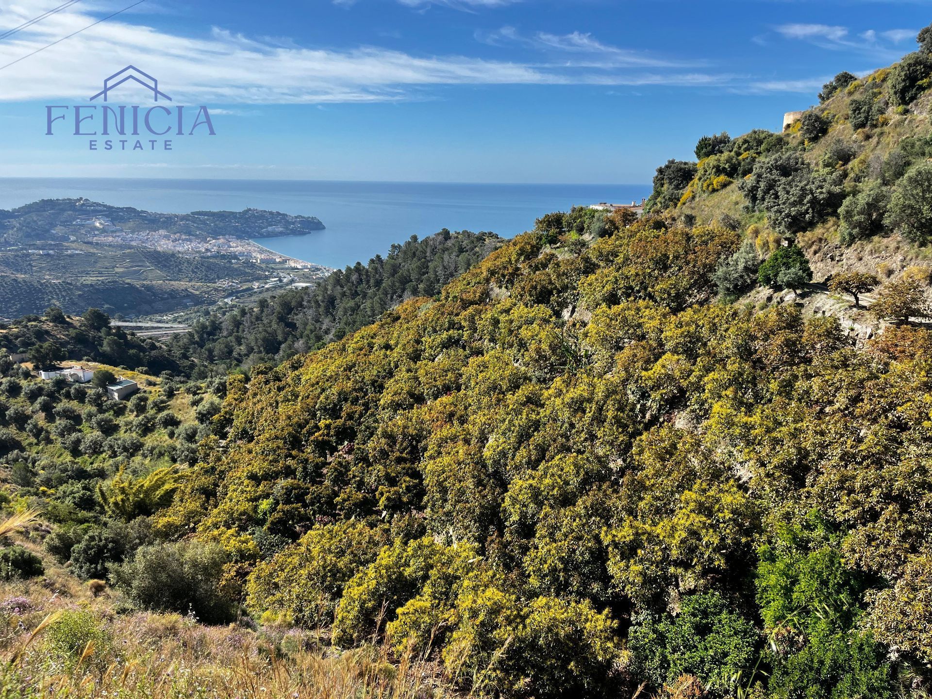 Exterior view of Country house for sale in Almuñécar  with Swimming Pool