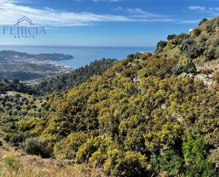 Exterior view of Country house for sale in Almuñécar  with Swimming Pool