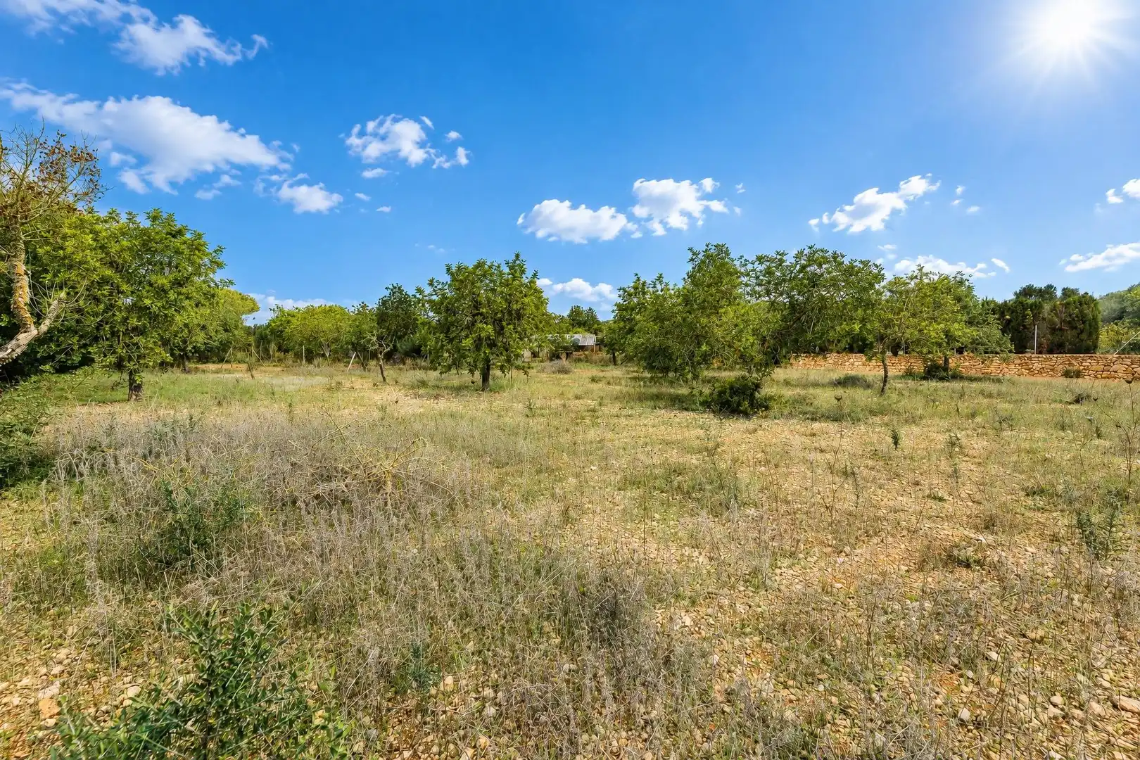 Casa o xalet en venda en Llucmajor amb Jardí privat, Terrassa i Traster