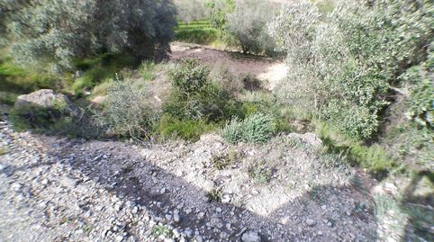 Zona rural tranquila en el Pinell de Brai., immagine 5