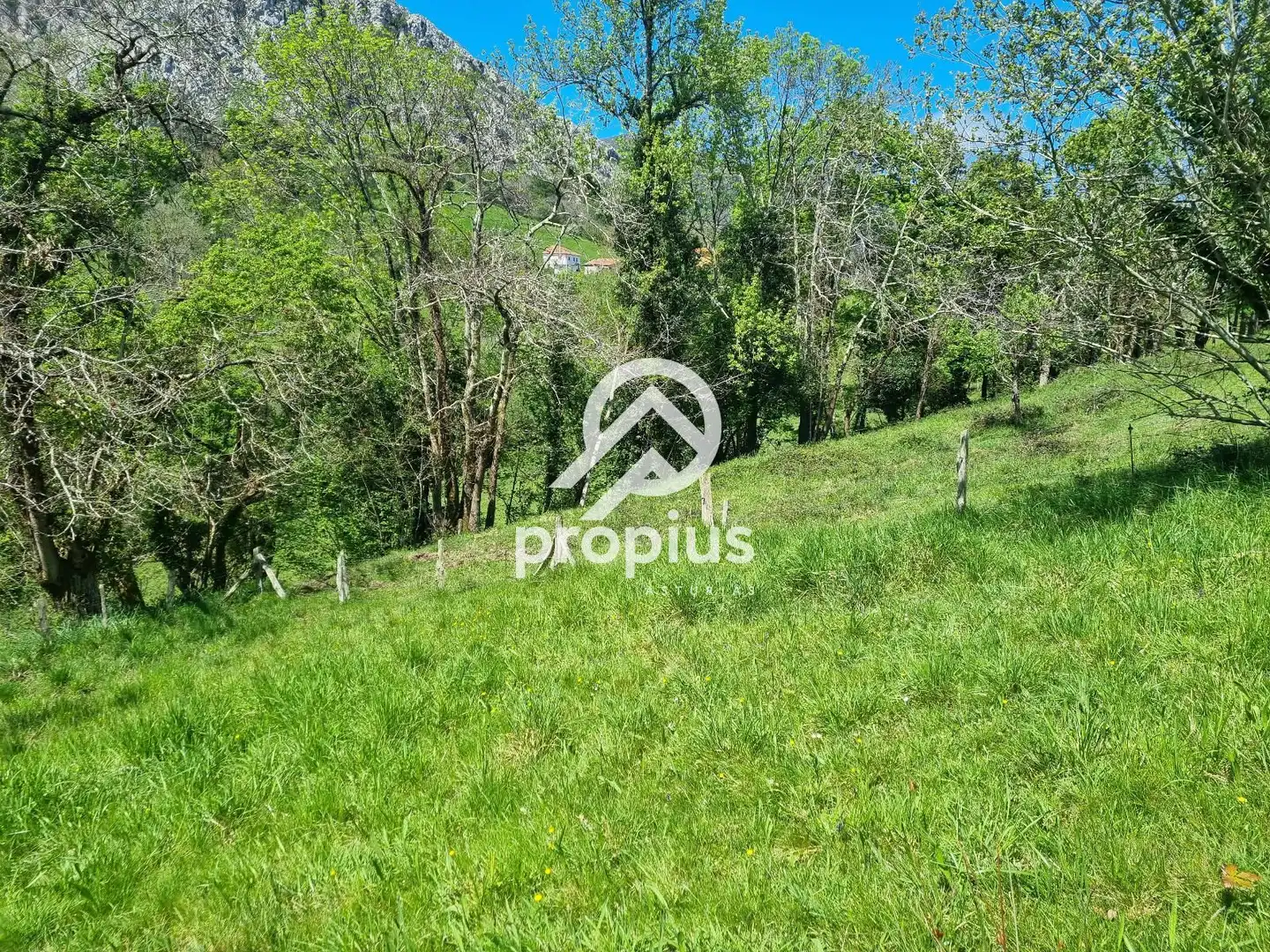 Terreno residencial en venta en EL COLLADO DE SANTO TOMÁS, imagen 4