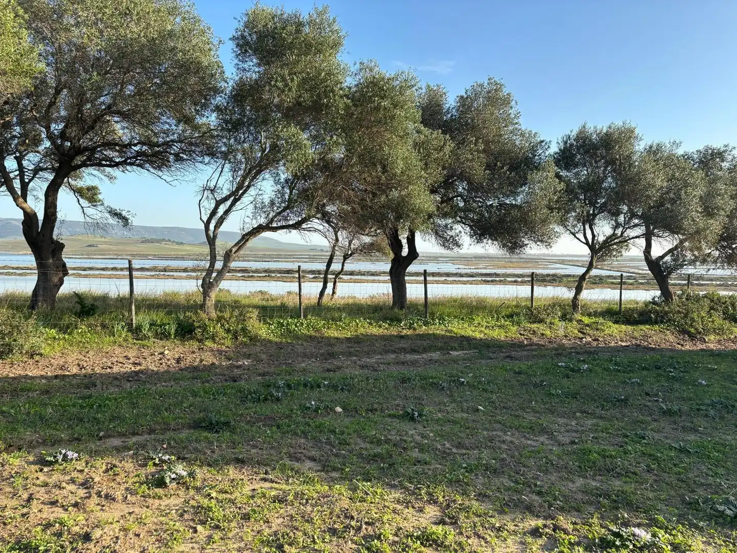 Terreni e lotti in vendita a Vejer, imagen 2