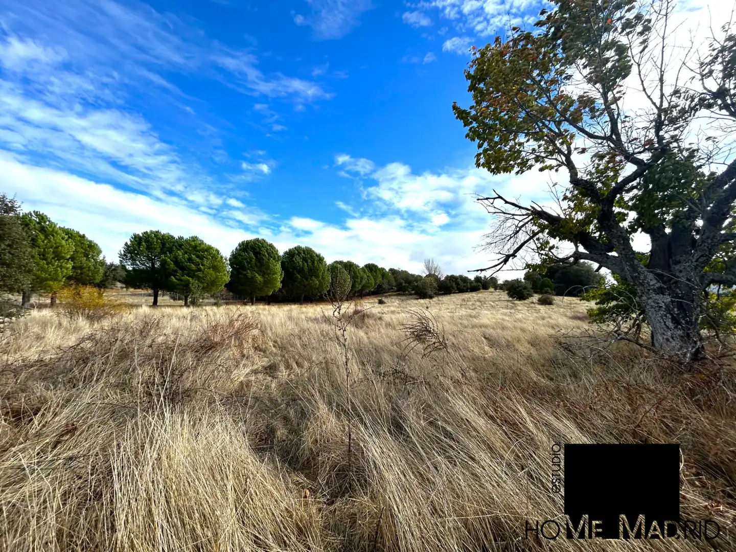 Rural land for sale in Camino de las Fontanillas, imagen 5