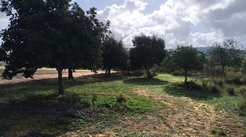 FINCA RÚSTICA, immagine 3